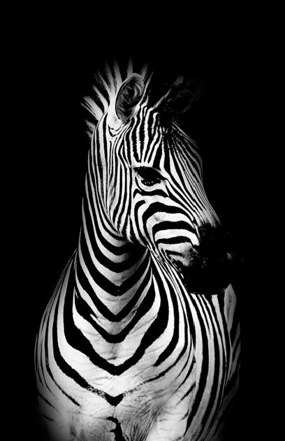 9d2bd54f3eadbaccf71f1382e8b3f324