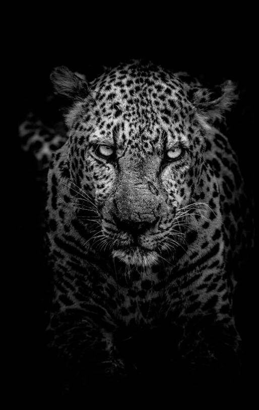 639b41bc4c5341d1cbb1f4260593fb87